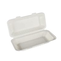 Bagasse HB10